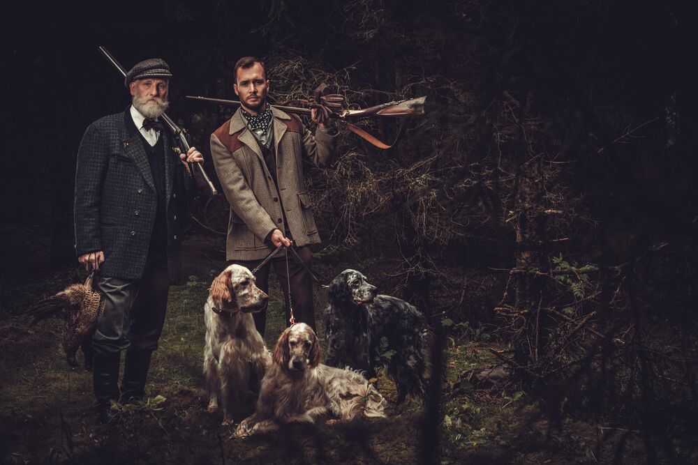Two hunters with English setters in woodland